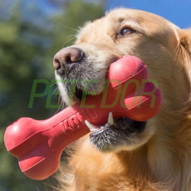 Kong Kemik Şeklinde Kauçuk Köpek Oyuncağı Large 21 Cm Kırmızı
