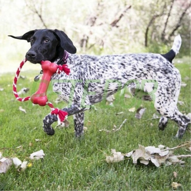 Kong Goodie Bone Kemik Şeklinde İp Sallantılı Köpek Oyuncağı Medium Kırmızı