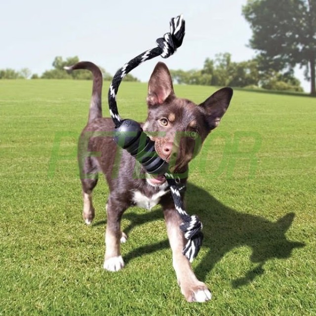 Kong Extreme Dental Diş Temizliği için İp Sallantılı Ultra Sert Köpek Oyuncağı Medium