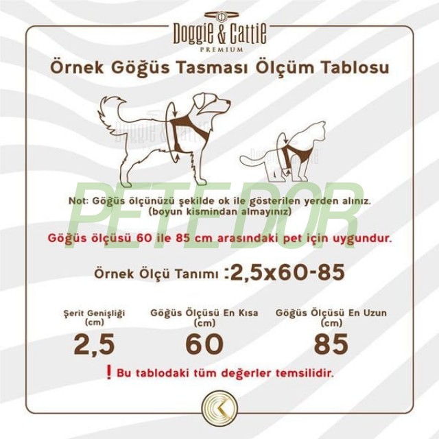 Cattie Havalı Dokuma Kedi Göğüs ve Gezdirme Takımı Small Siyah 1x20-30 Cm