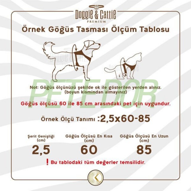 Cattie Havalı Dokuma Kedi Göğüs ve Gezdirme Takımı Large Siyah 1.5x30-40 Cm