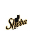 Sheba