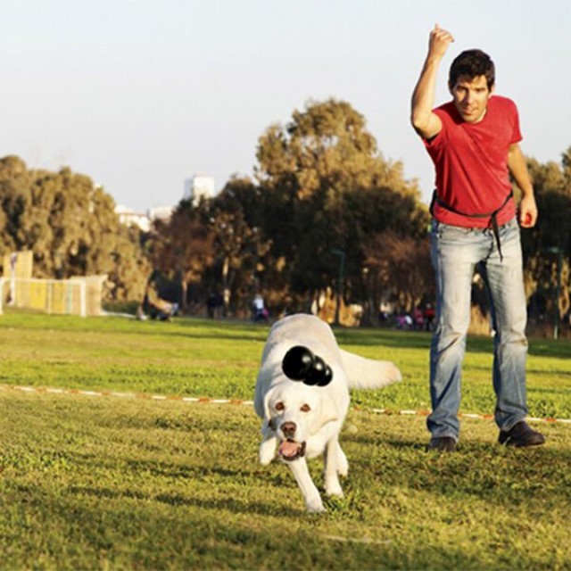 Kong Extreme Large 10 Cm