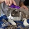 Kong ZoomGroom Kedi Tüy Tarağı Mor 11 Cm