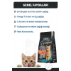 Signature Somonlu Kısırlaştırılmış Yetişkin Kedi Maması 2 Kg