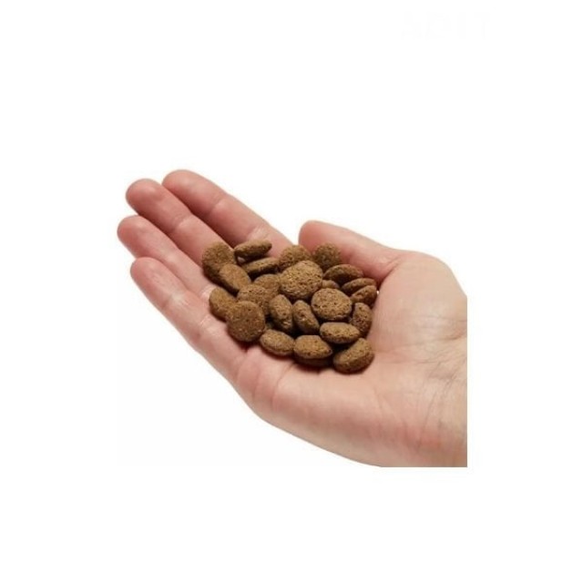 Mera Pure Sensitive Somonlu Yetişkin Köpek Maması 4 Kg