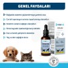 OneVet Amino-Sol Yavru Kedi ve Köpekler İçin Gelişim Destekleyici Damla 50 Ml