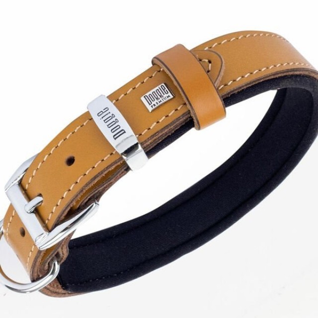 Doggie Comfort Deri Nazar Boncuklu Köpek Boyun Tasması Medium Camel 2.5x37-45 Cm