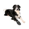 Trixie Köpek Çorabı Yumuşak 2 Adet Siyah Xsmall