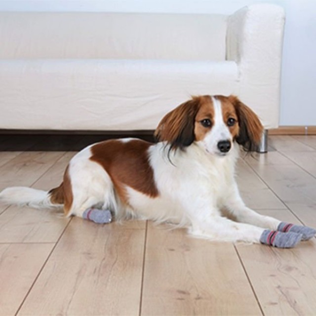 Trixie Köpek Çorabı Kaymaz 2 Adet Xsmall/Small Gri