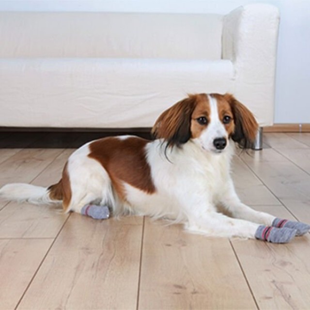Trixie Köpek Çorabı Kaymaz 2 Adet Large Gri