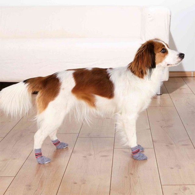 Trixie Köpek Çorabı Kaymaz 2 Adet Xlarge Gri