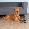 Trixie Çizgili Köpek Çorabı Kaymaz 2 Adet Xsmall