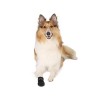 Trixie Köpek Çorabı Neopren 2 Adet Siyah Medium