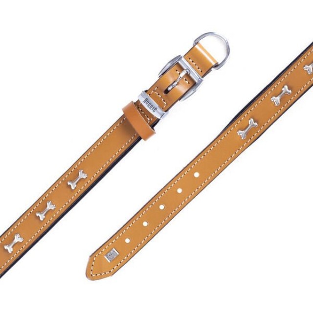 Doggie Comfort Deri Kemik Süslü Köpek Boyun Tasması Medium Camel 2.5x37-45 Cm