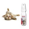 Beaphar Play Spray Catnipli Kedi Otu Spreyi 150 Ml