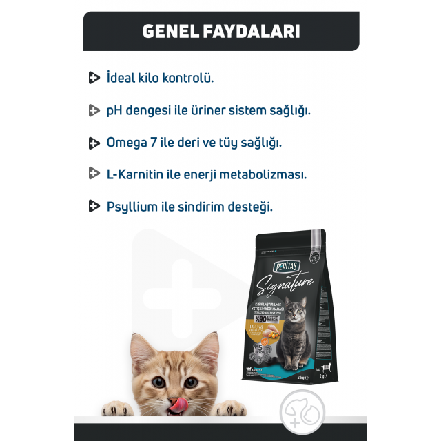 Signature Tavuklu Kısırlaştırılmış Yetişkin Kedi Maması 2 Kg