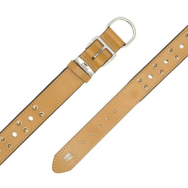 Doggie Comfort Deri Çivili Köpek Boyun Tasması Small Camel 4x47-55 Cm