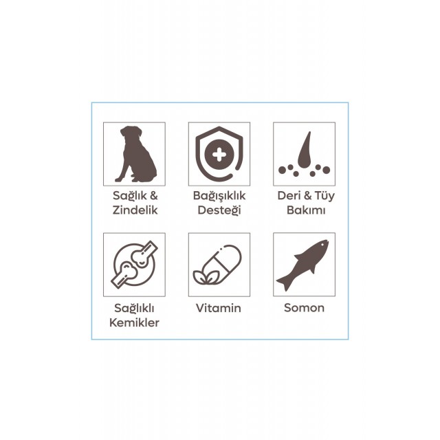 Animal World Derma Care Somonlu ve Pirinçli Yetişkin Köpek Maması 15 Kg