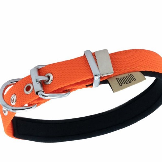 Doggie Comfort Dokuma Kemikli Köpek Boyun Tasması Medium Turuncu 2x35-40 Cm