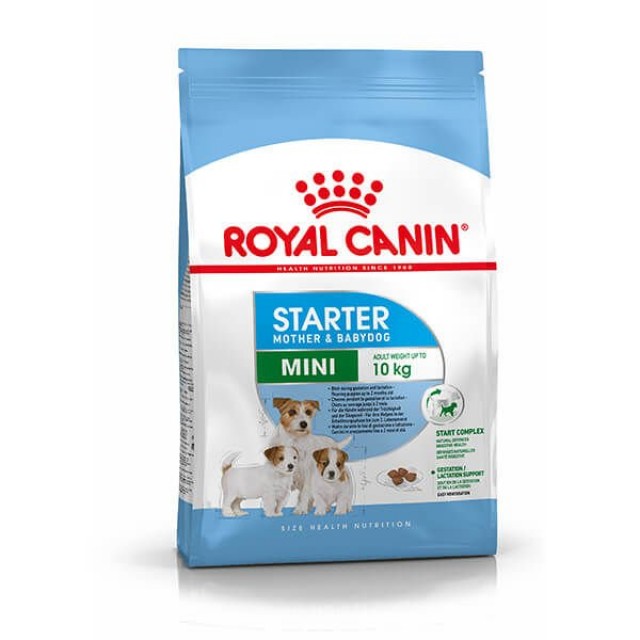 Royal Canin Mini Starter Anne ve Yavru Köpek Maması 4 Kg