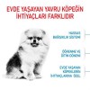 Royal Canin Mini İndoor Puppy Yavru Köpek Maması 1.5 Kg
