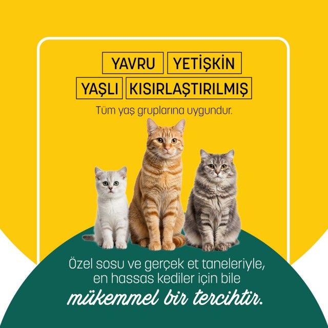 PetzzCats Ton Balığı & Kalamar Konserve Kedi Maması 1 Adet 70 Gr