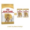Royal Canin Poodle Adult Yetişkin Köpek Maması 3 Kg+2 Konserve Hediyeli