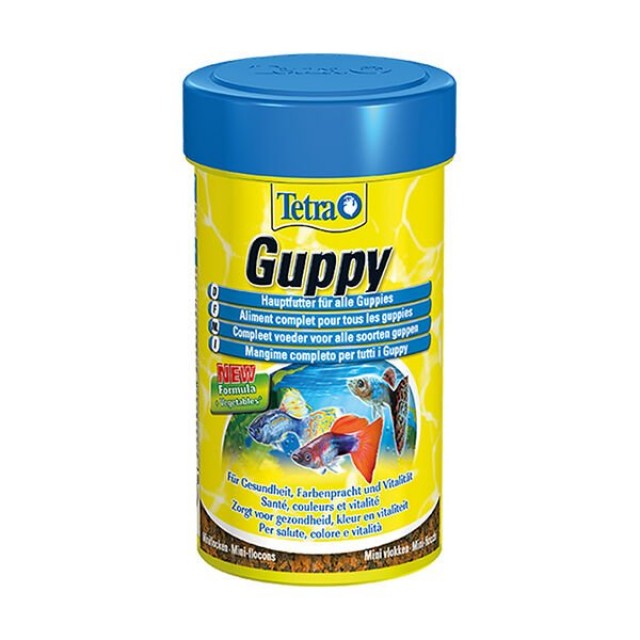 Tetra Guppy Lepistes Akvaryum Balık Yemi 100 Ml