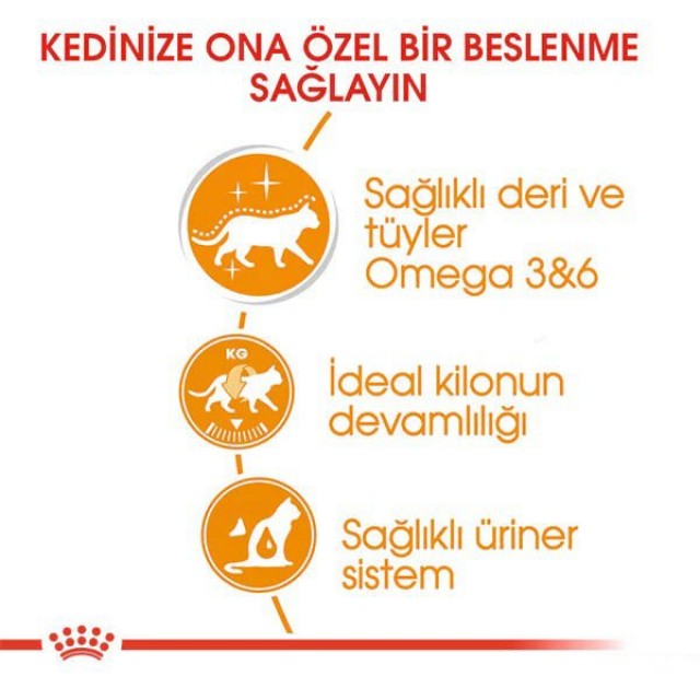 Royal Canin İntense Beauty Jelly Pouch Konserve Kedi Maması 1 Adet 85 Gr