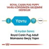 Royal Canin Pug Junior Yavru Köpek Maması 1.5 Kg