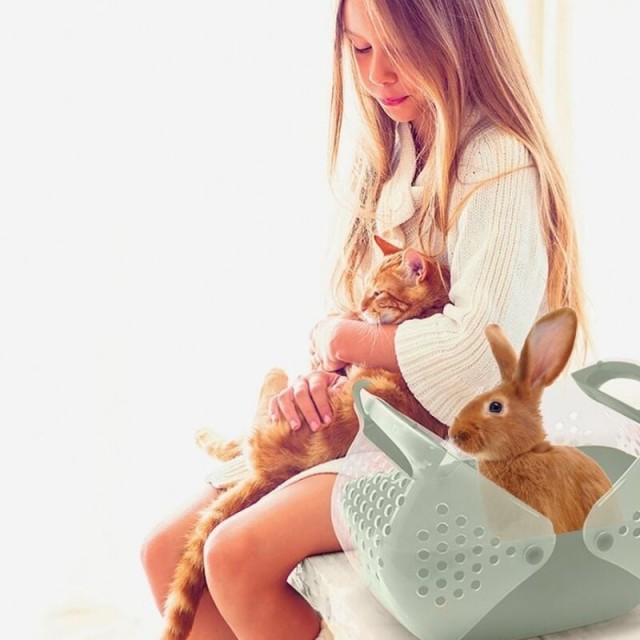 İmac Baggy Kemirgen ve Yavru Kedi Taşıma Çantası Açık Mavi 36x25x29 Cm