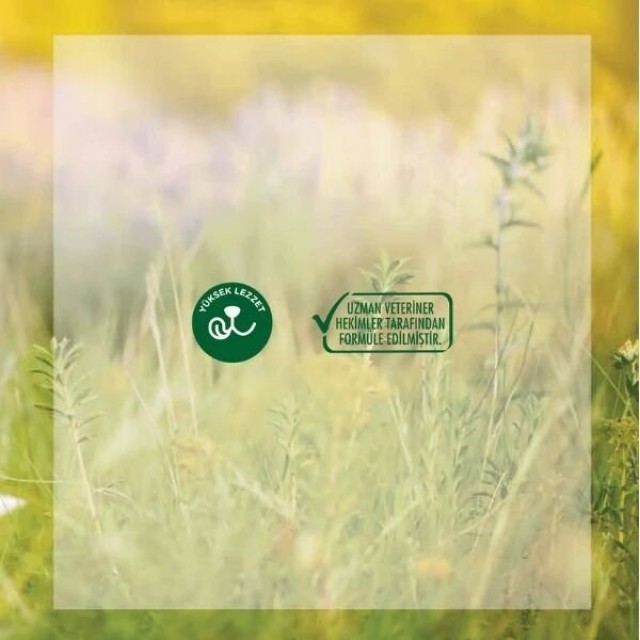 Rico Tavuklu Yavru Kedi Maması 15 Kg