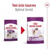 Royal Canin Giant Adult Dev Irk Yetişkin Köpek Maması 15 Kg