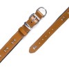 Doggie Comfort Deri Kemik Süslü Köpek Boyun Tasması Large Camel 3.5x52-60 Cm