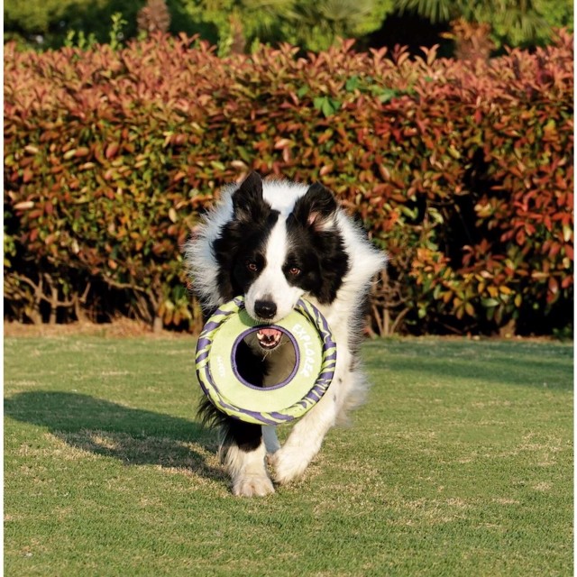 M-Pets Sprintpuff Frizbi Köpek Oyuncağı 24 Cm Mor/Yeşil