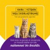 PetzzCats Ton Balığı & Midye Konserve Kedi Maması 1 Adet 70 Gr