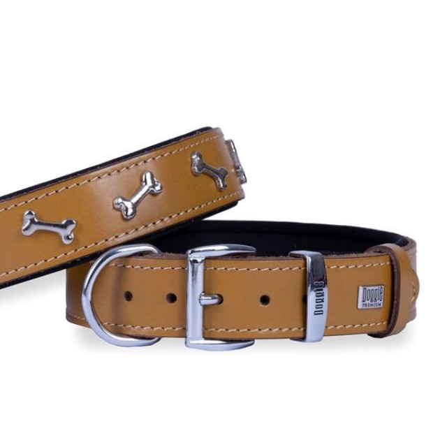 Doggie Comfort Deri Kemik Süslü Köpek Boyun Tasması Large Camel 3.5x52-60 Cm