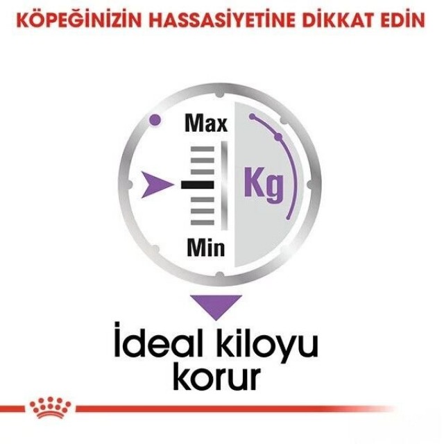 Royal Canin Sterilised Pouch Konserve Köpek Maması 1 Adet 85 Gr