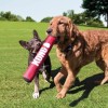 Kong Signature Stick Çubuk Şeklinde Köpek Oyuncağı Large
