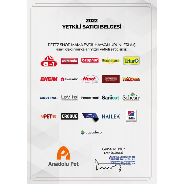 Kong Bamboo Feeder Top Köpekler için Ödül Maması Dağıtma Oyuncağı Medium