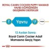 Royal Canin Cocker Junior Yavru Köpek Maması 3 Kg