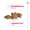 Royal Canin Mini Adult Küçük Irk Yetişkin Köpek Maması 2 Kg