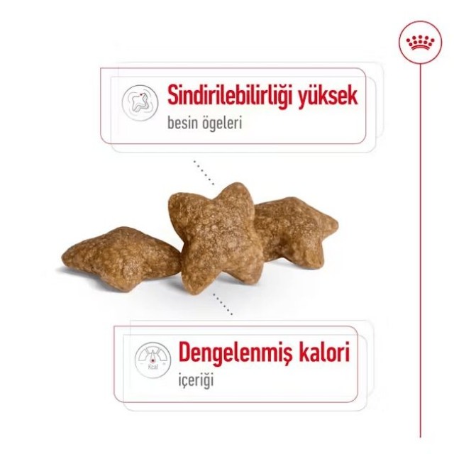 Royal Canin Mini Adult Küçük Irk Yetişkin Köpek Maması 2 Kg