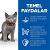 Hills Sterilised Kitten Tavuklu Kısırlaştırılmış Yavru Kedi Maması 10 Kg