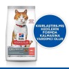 Hills Somonlu Kısırlaştırılmış Yetişkin Kedi Maması 8+2 Kg Hediyeli