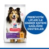 Hills Adult Sensitive Skin Hassas Köpekler İçin Tavuklu Yetişkin Köpek Maması 2.5 Kg