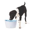 Dogit Fresh Clear Kedi ve Köpek Plastik Su Kabı 6000 Ml