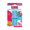 Kong Puppy Teething Stick Diş Temizliği Sağlayan Yavru Köpek Oyuncağı Medium