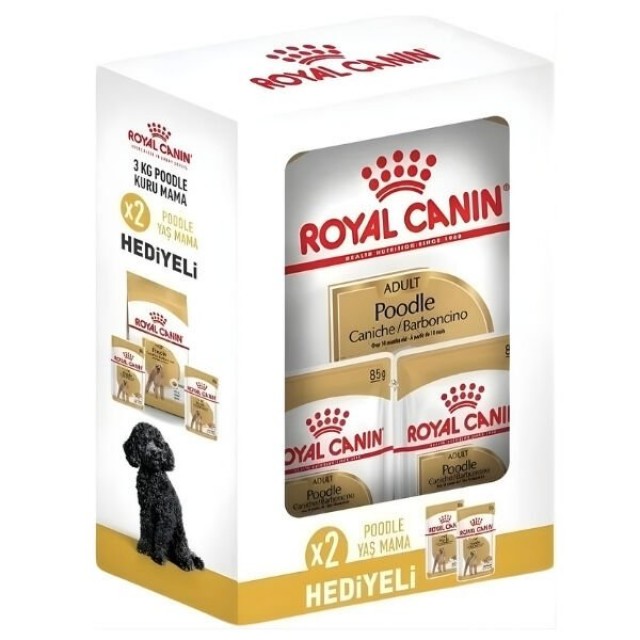 Royal Canin Poodle Adult Yetişkin Köpek Maması 3 Kg+2 Konserve Hediyeli